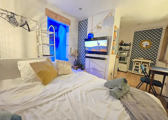 Nid Cosy Et Sauna Prive & Proche Centre Strasbourg & Kehl