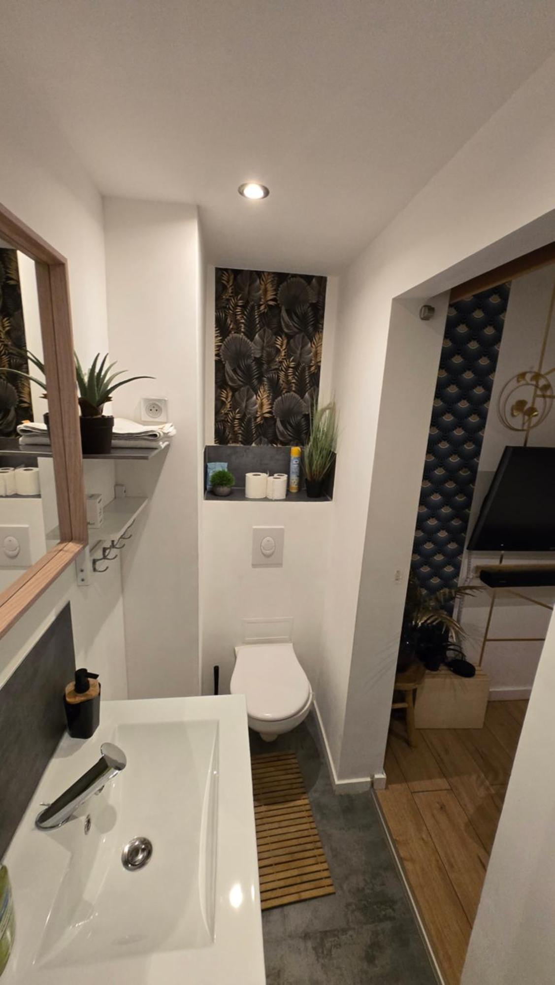 Nid Cosy Et Sauna Prive & Proche Centre & Kehl Appartement Strasbourg