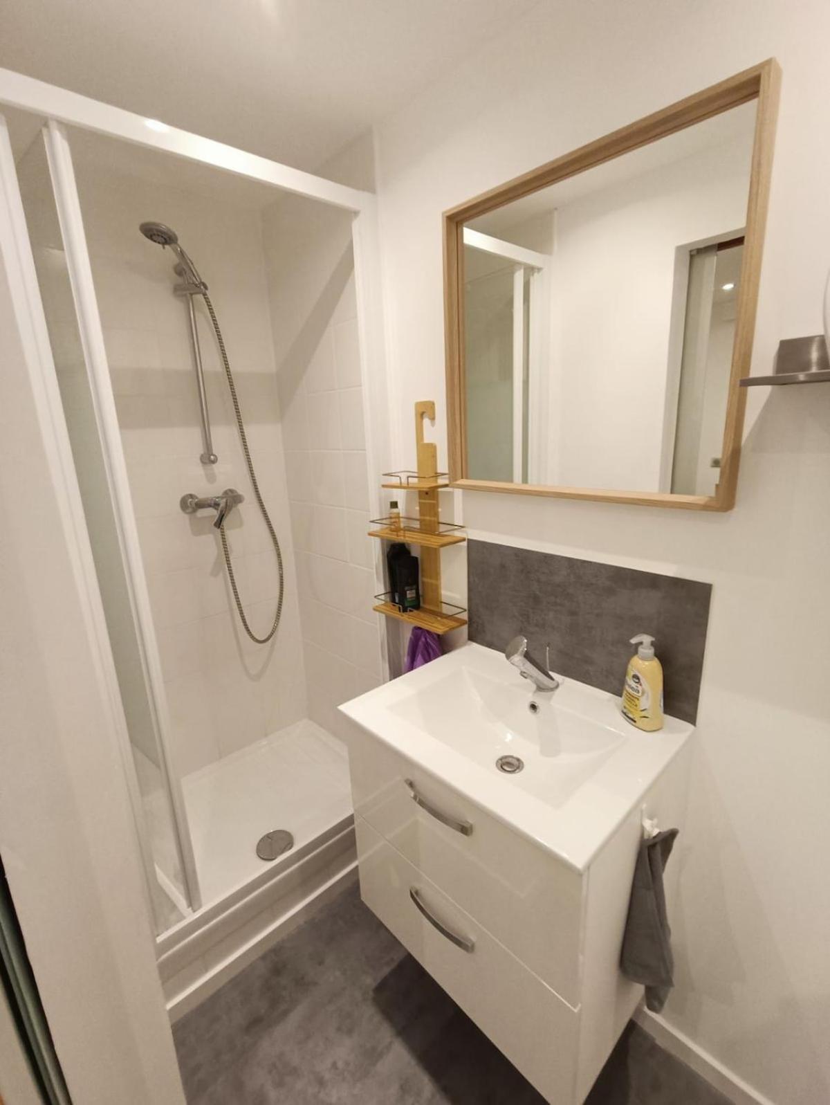 Nid Cosy Et Sauna Prive & Proche Centre & Kehl * Strasbourg